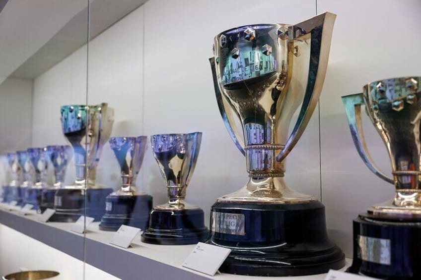 Small Group Guided Tour in Santiago Bernabéu Stadium