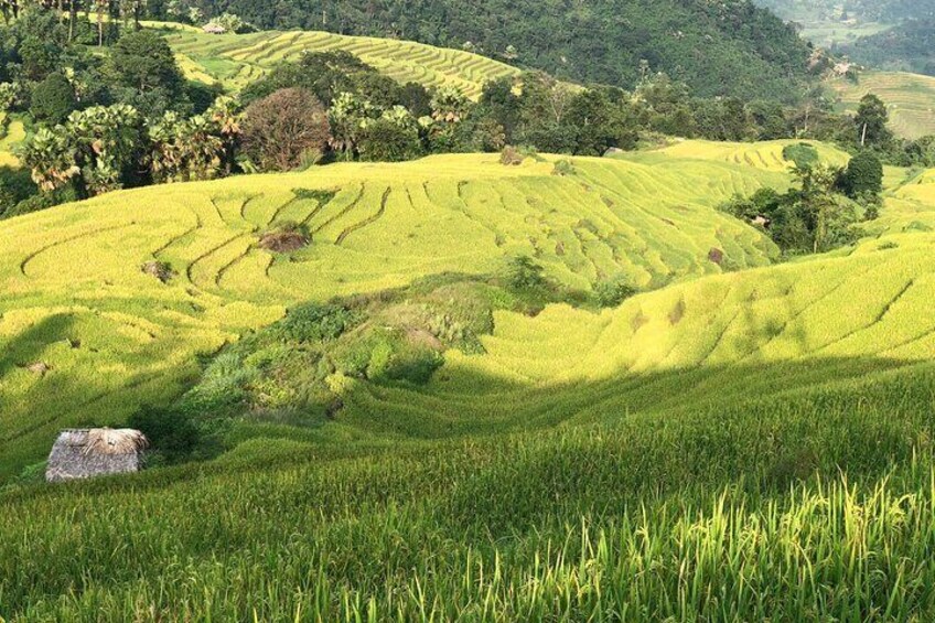 Sa Pa - Hoang Su Phi - Ha Giang Loop with easy riders