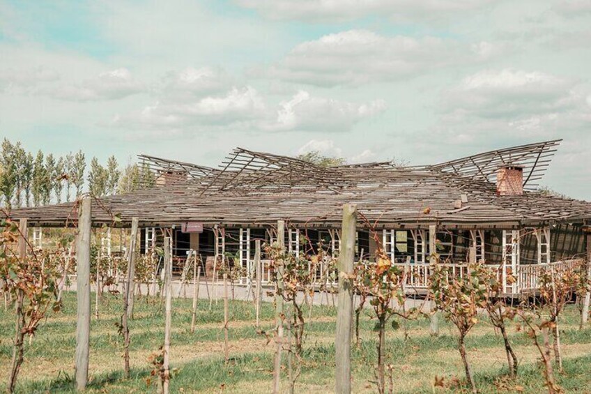 Buenos Aires Experience Winery Gamboa Tasting and Lunch.