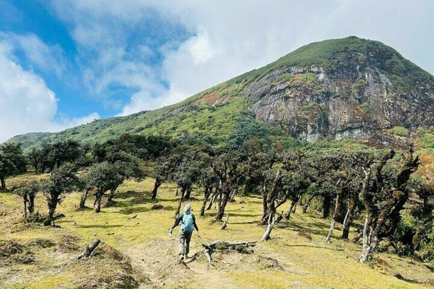 Hiking Ky Quan San moutain - 2 days