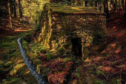 Nature and Green Wine Tasting Tour