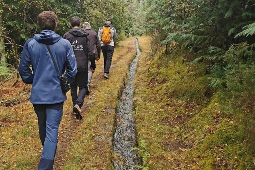 Nature and Green Wine Tasting Tour