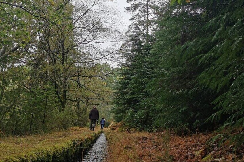 Nature and Green Wine Tasting Tour