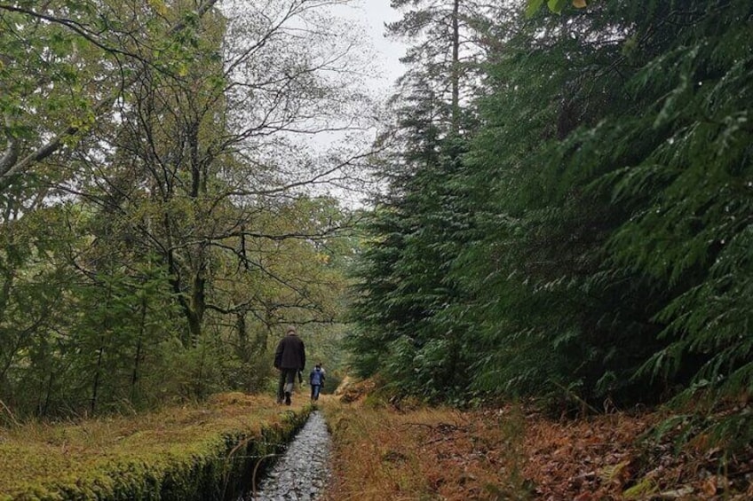 Nature and Green Wine Tasting Tour