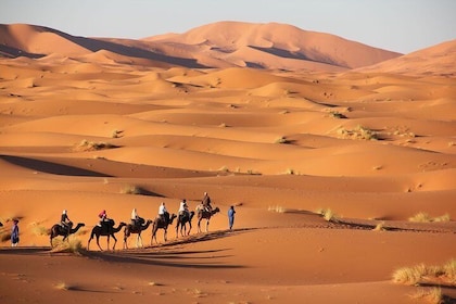 Merzouga desert, Toudgha & Dades Gorges, Atlas mountaigns, 3 Days private T...