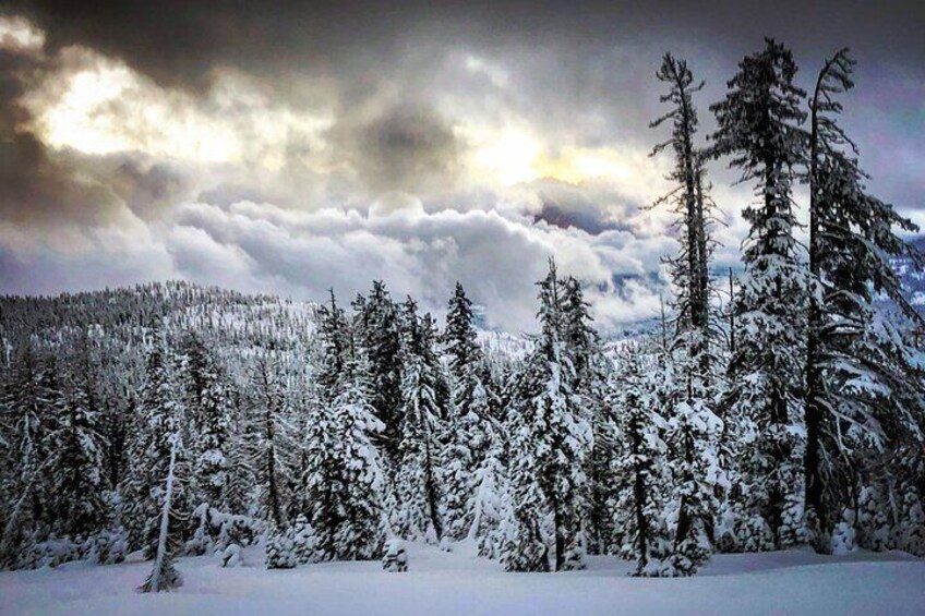 Scenic Sunset Snowshoe Tour