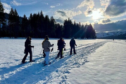 Scenic Sunset Snowshoe Tour