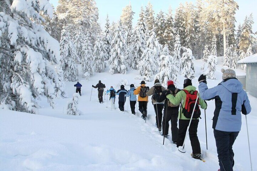 Scenic Sunset Snowshoe Tour