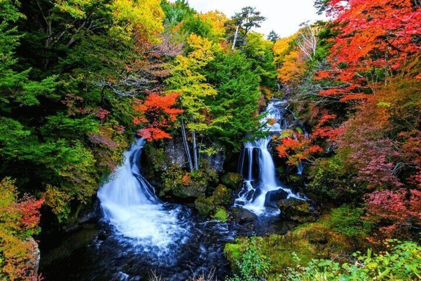 From Tokyo Private Nikko Tour Discover Japan’s Hidden Heritage