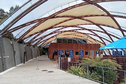 Waitomo Cave and Hobbiton Village Full Day Tour