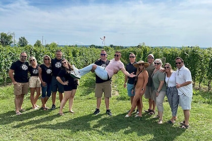 Lunch in the Vineyard: A Scenic Niagara Wine Tour Experience