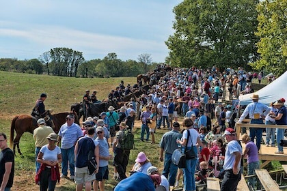 Antietam Battlefield Private Tour by Luxury Vehicle