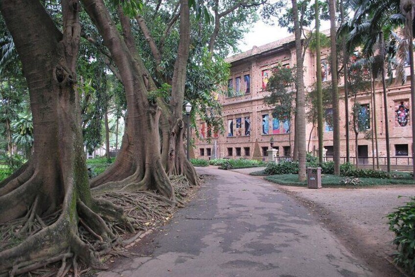 Skip-the-Line Pinacoteca do Estado de São Paulo Private Tour