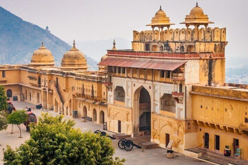 8 Days Golden Triangle Tour with Ranthambore Safari 