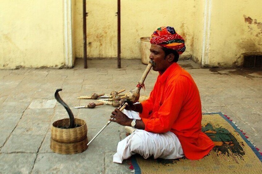 8 Days Golden Triangle Tour with Ranthambore Safari 