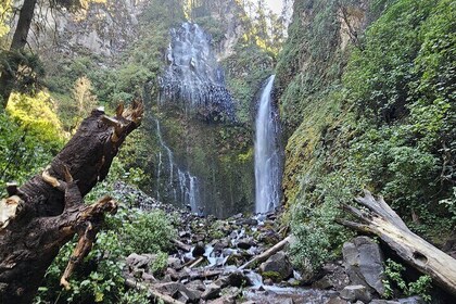 Private Tour to Los Diamantes Waterfall from CDMX