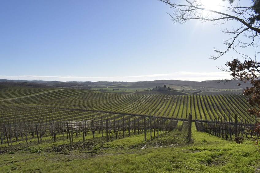 E-Bike Chianti Small Group Tour from Siena