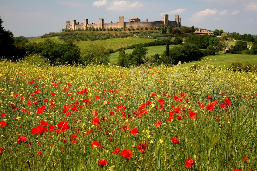 E-Bike Chianti Small Group Tour from Siena