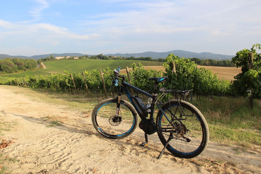 E-Bike Chianti Small Group Tour from Siena