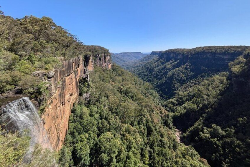 Private Wildlife Tour Wombats Kangaroos and Waterfalls