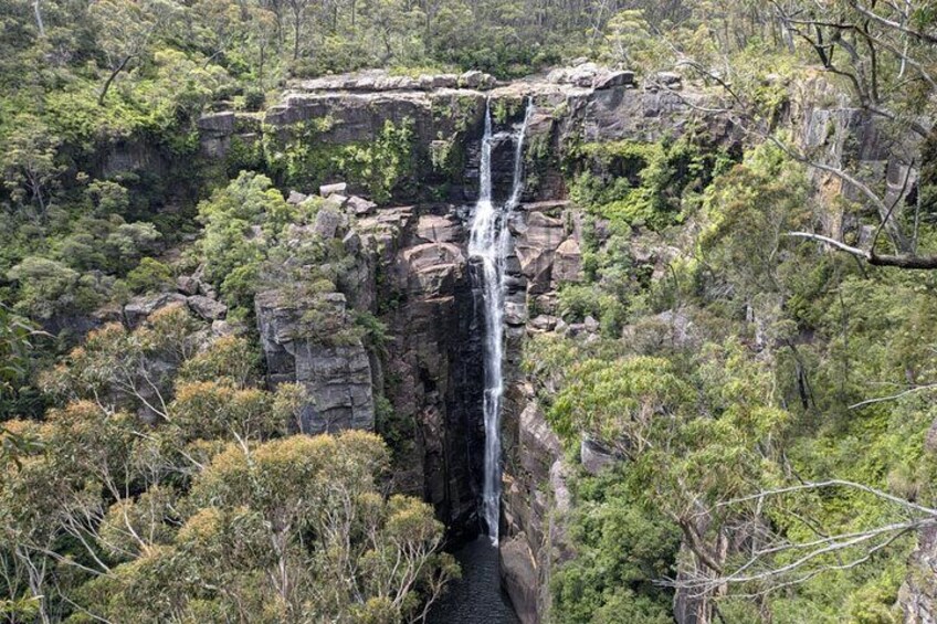 Private Wildlife Tour Wombats Kangaroos and Waterfalls