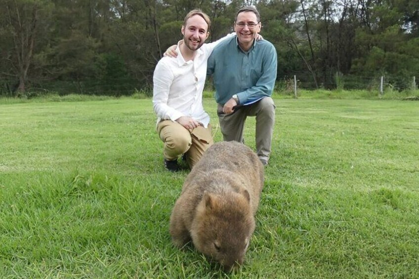 Private Wildlife Tour Wombats Kangaroos and Waterfalls