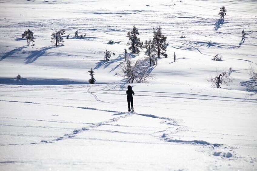 Private Snowshoeing tour in National Park