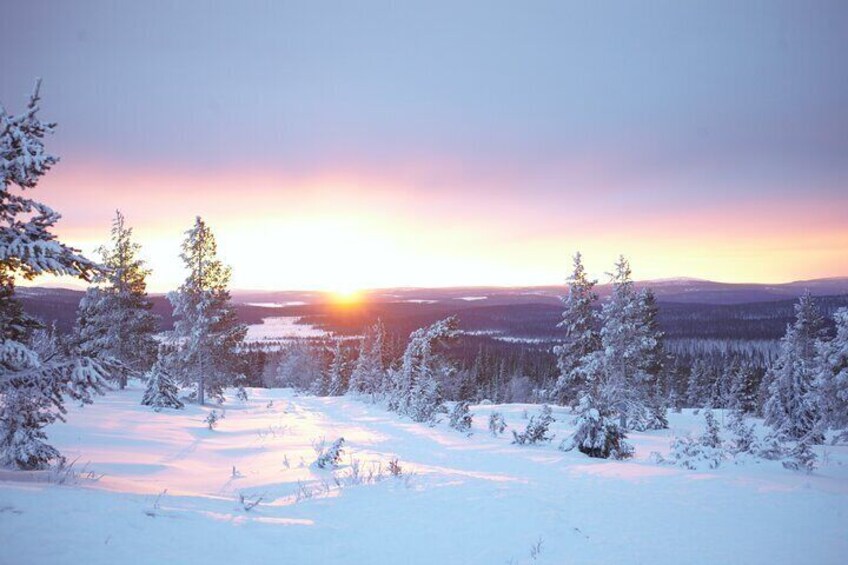 Private Snowshoeing tour in National Park