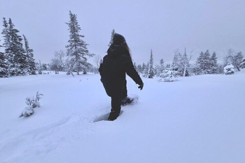 Private Snowshoeing tour in National Park