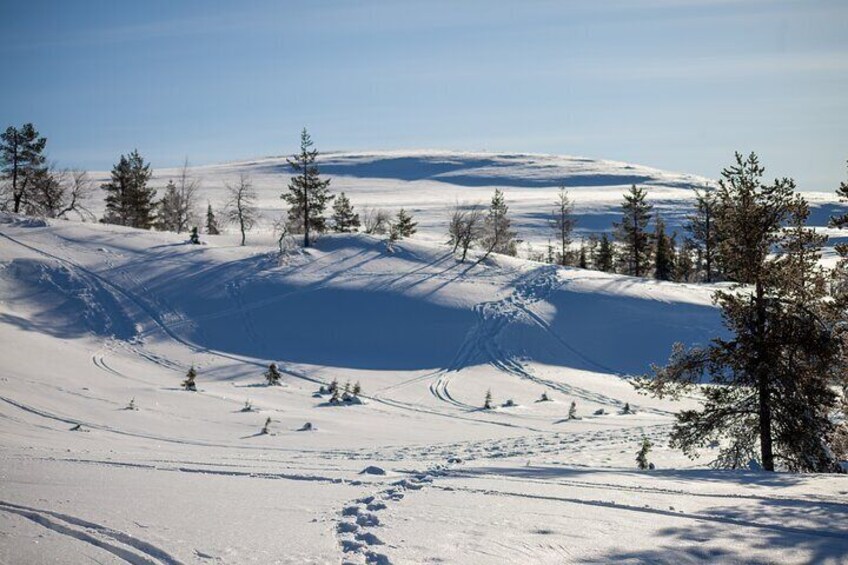 Private Snowshoeing tour in National Park