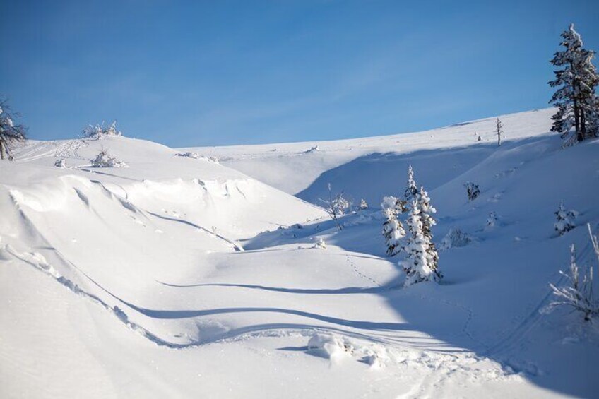 Private Snowshoeing tour in National Park