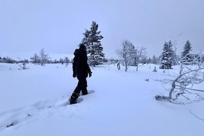 Private Snowshoeing tour in National Park