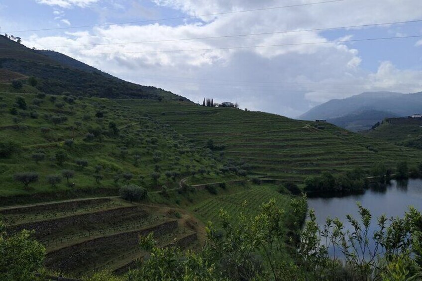 Douro Valley, Premium private tour, All Inclusive