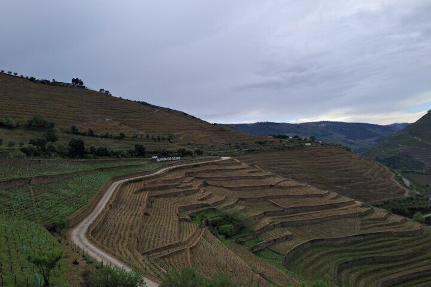 Douro Valley, Premium private tour, All Inclusive