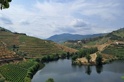 Explore the Wonders of Douro Valley, All-inclusive with LOP Tours