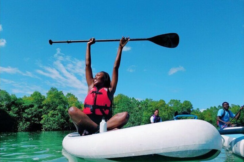 Zanzibar Shared and Unique Guided Mangrove Tour by SUP or Kayak