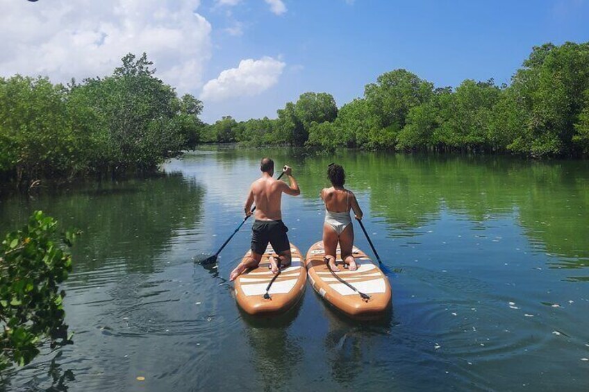 Zanzibar Shared and Unique Guided Mangrove Tour by SUP or Kayak