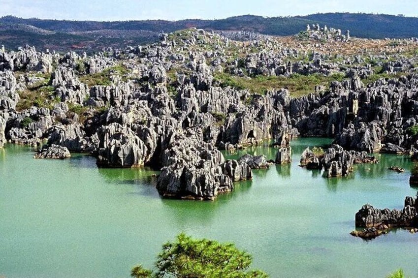 Kunming Stone Forest Private Tour with Options