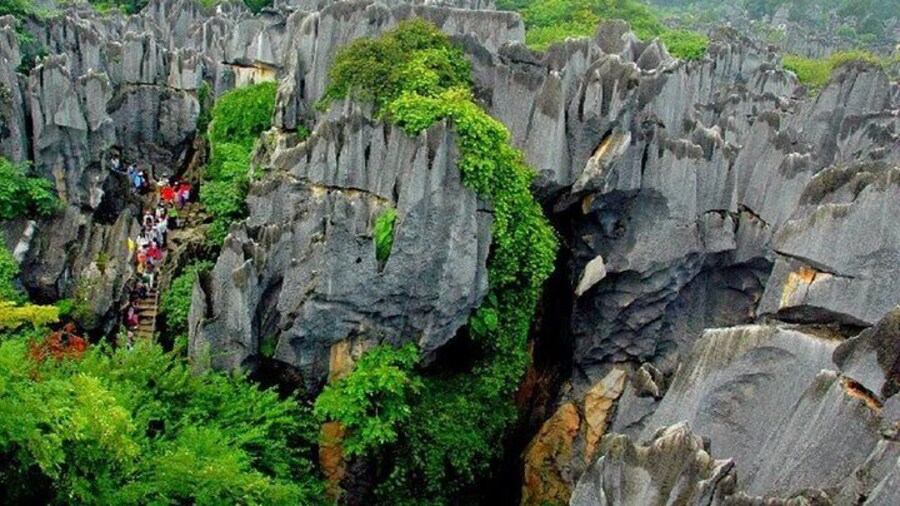 Kunming Stone Forest + Kunming City Private Tour