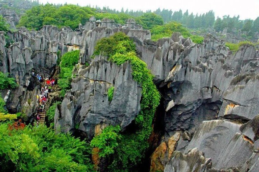 Kunming Stone Forest Private Tour with Options