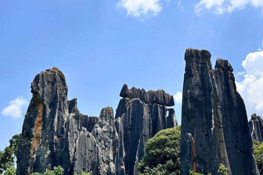 Kunming Stone Forest Private Tour with Options