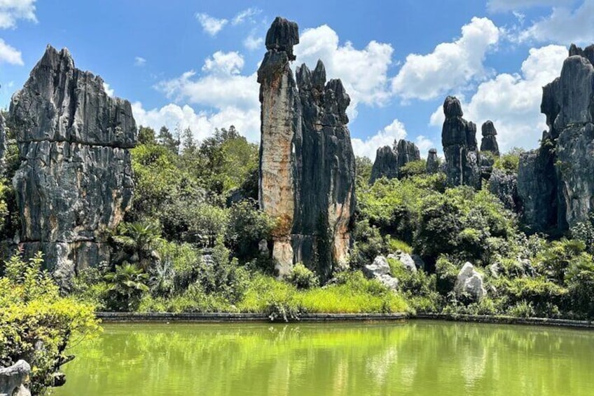 Kunming Stone Forest Private Tour with Options