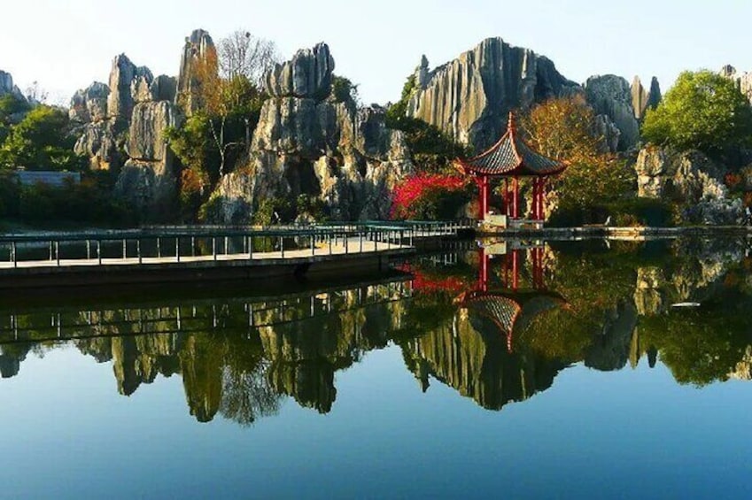 Kunming Stone Forest Private Tour with Options