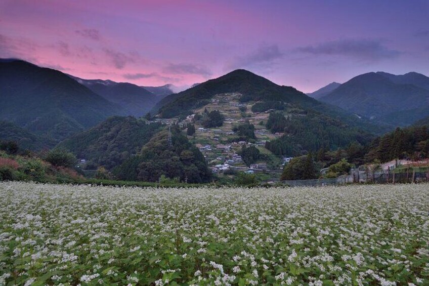 Private Iya Valley Half Day Tour
