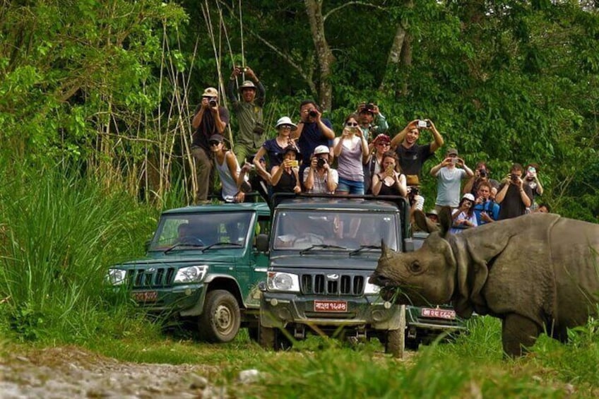 2 Night 3 Day Chitwan Jungle Safari Tour from Pokhara