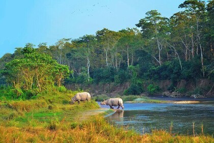 2 Night 3 Day Chitwan Jungle Safari Tour from Pokhara