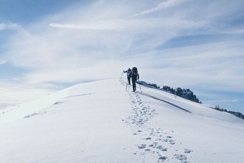 Annapurna Base Camp 7 Days Trek from Pokhara 