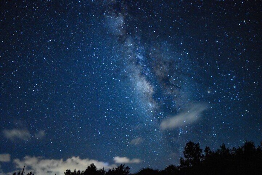 Miyako Island Jungle Night Tour and Starry Sky Viewing