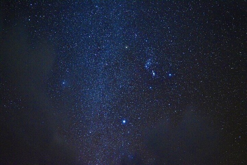 Miyako Island Jungle Night Tour and Starry Sky Viewing