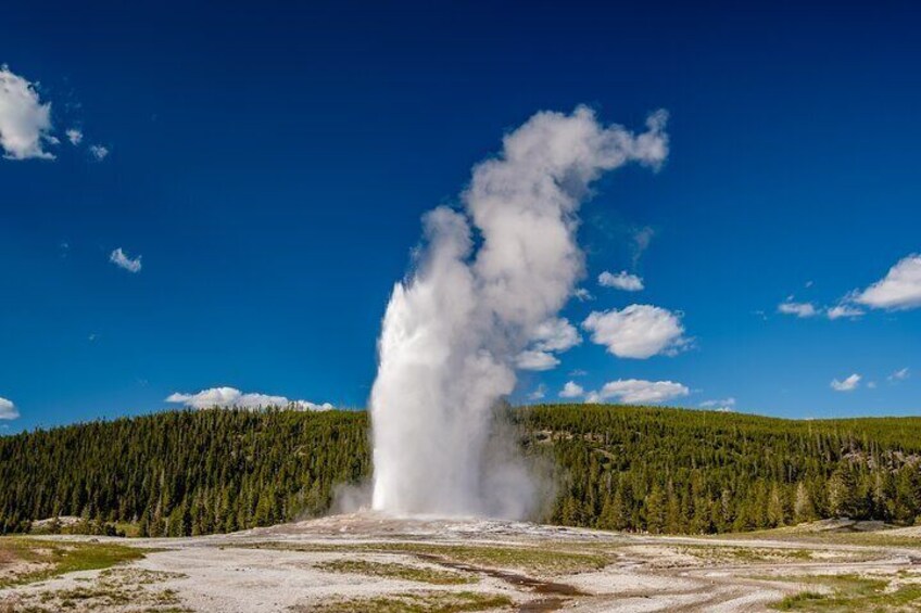 Old Faithful